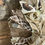 Thumbnail: Horse Wreath Mare