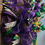 Thumbnail: Mardi Gras Jester Wreath