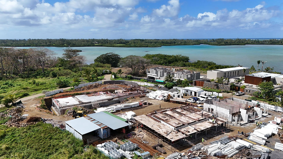 WhatsApp Image 2025-08-13 at 11.58.41.jpeg