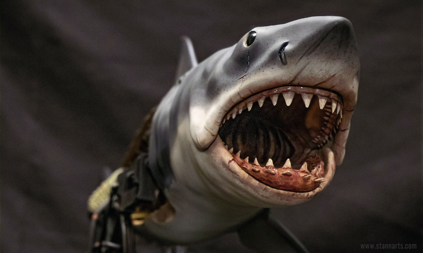 Bruce The Mechanical Shark Model From StannArts