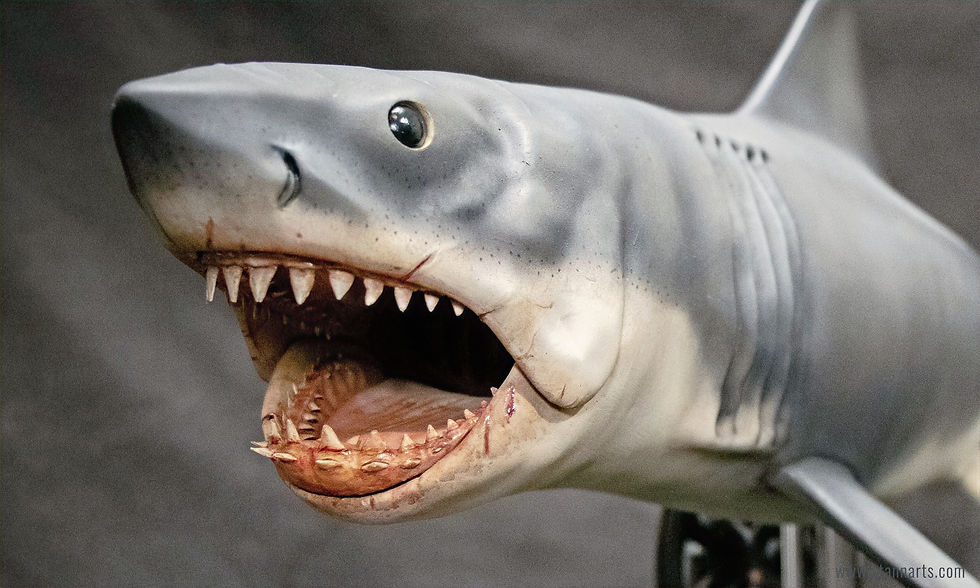 Bruce the Shark Model - Painted Version