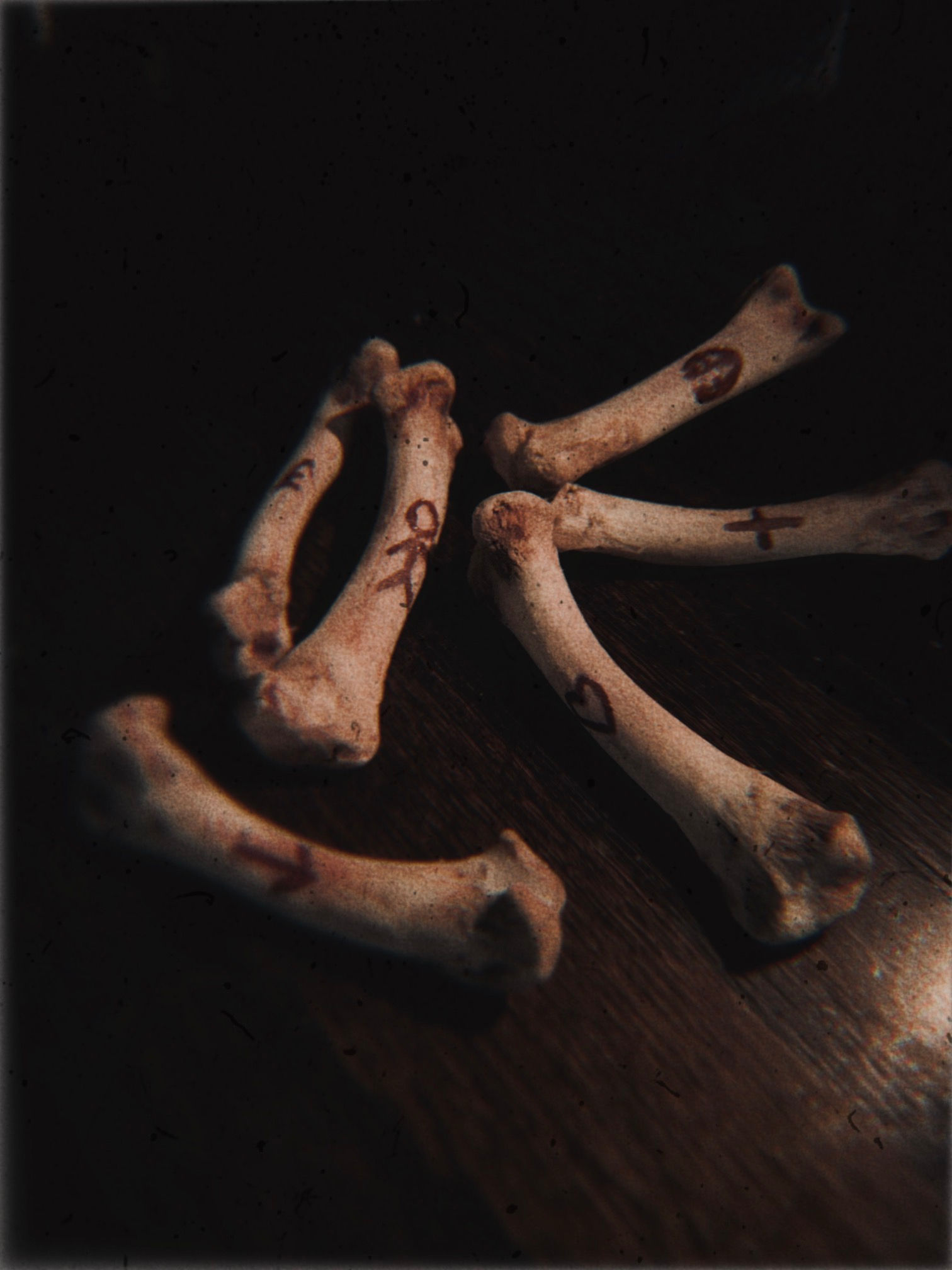 TikTok Bone Cast Reading