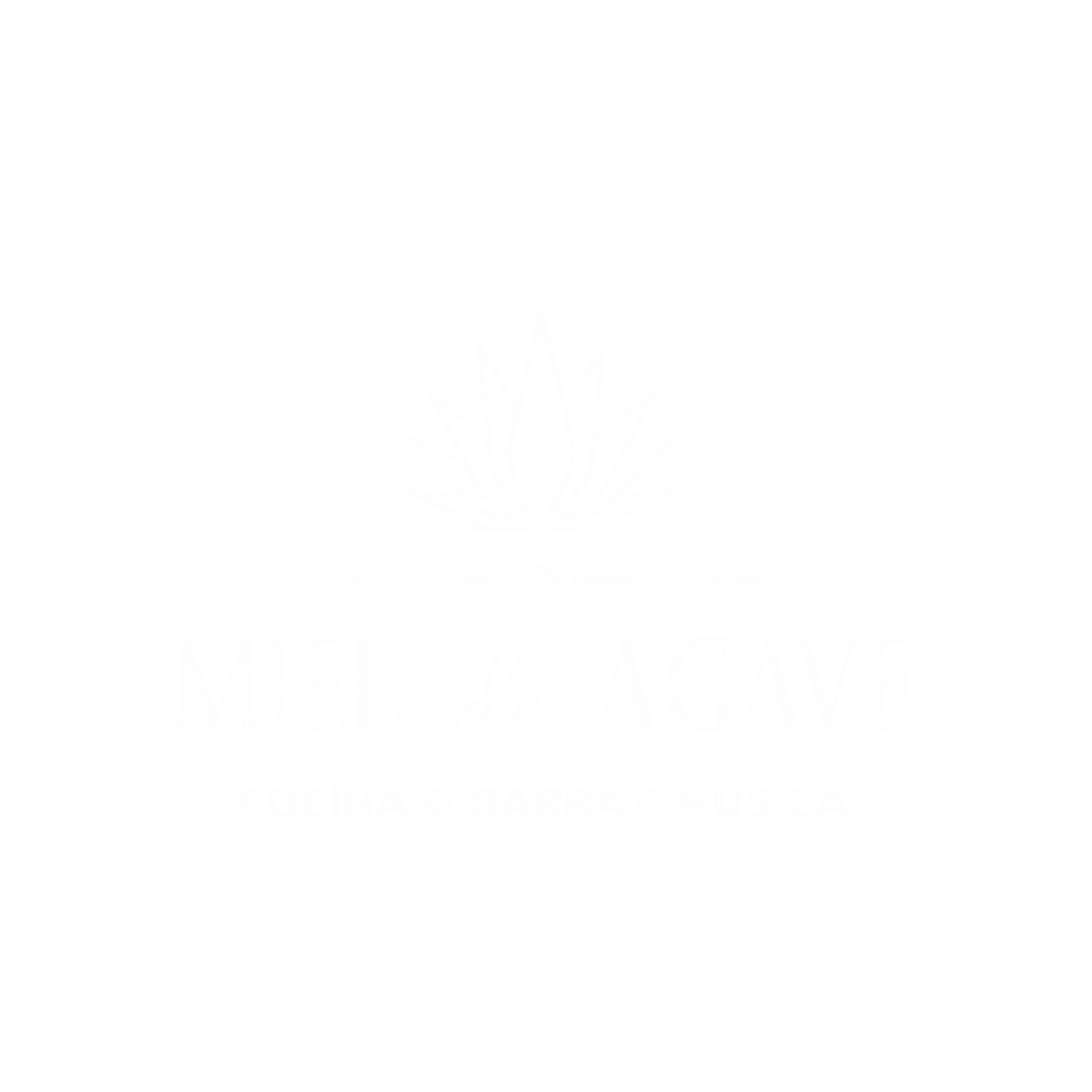 Miel de Agave Chandler
