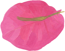 petal 5.png