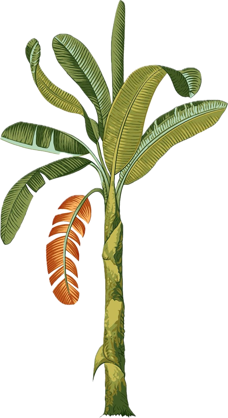 tree_edited.png