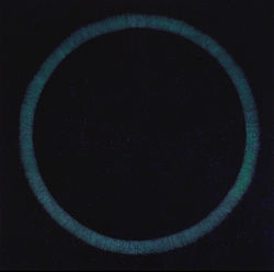 anima. 130x130cm. acrylic on canvas. 2025