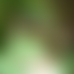 2022 Ευχές Γονέων