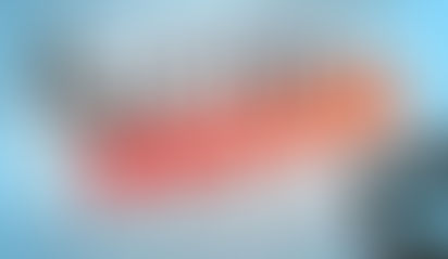 Revue de presse 2022