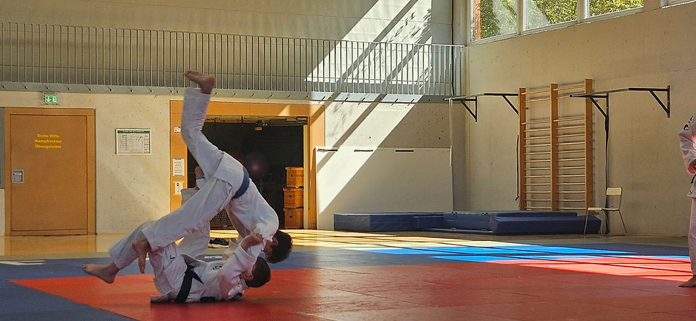Robert wirft Tomoe-Nage