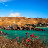 Lyttelton Walks