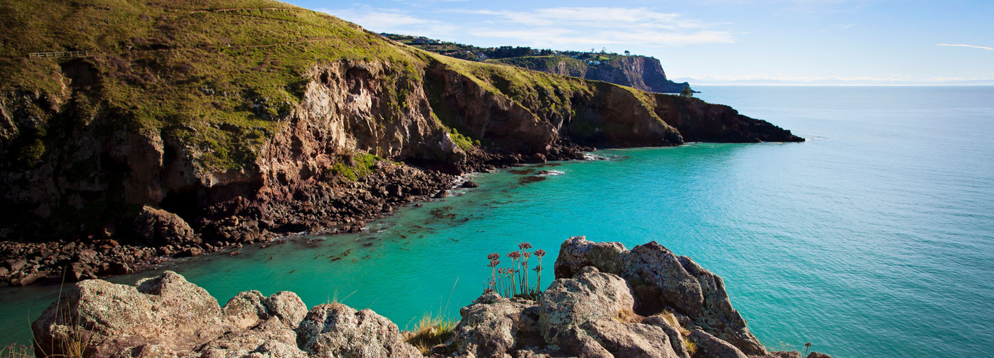 Views from the Godley Head loop track, guided walks near Christchurch city