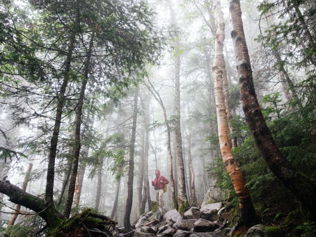 Is New Zealand a safe place to travel?