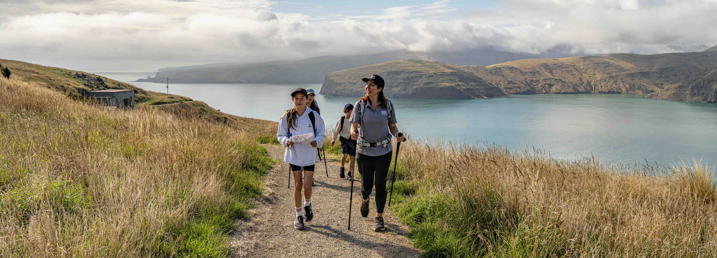 Guided walk around Godley Head