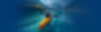 client-portal-bg-canoe.jpg