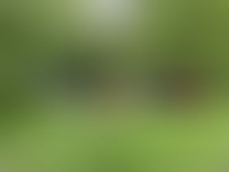 How to Measure Silt Levels in Your Pond or lake