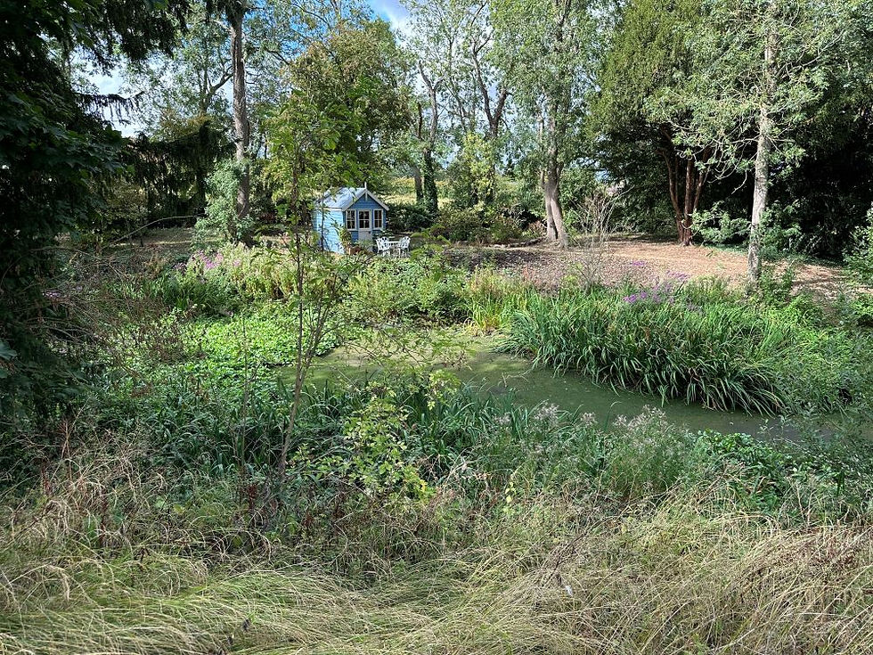 (Case Study) Pond Restoration Through Silt Removal and Vegetation Management