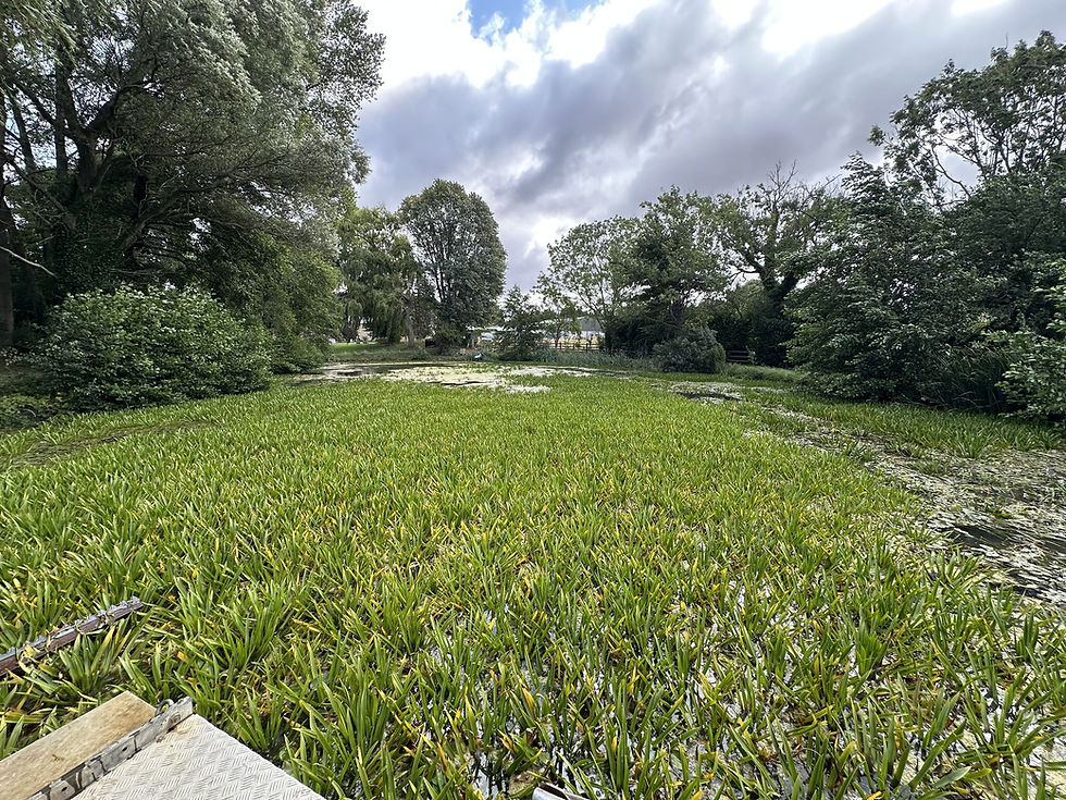 Does Maintaining a Domestic Lake Add Value to Your Property?