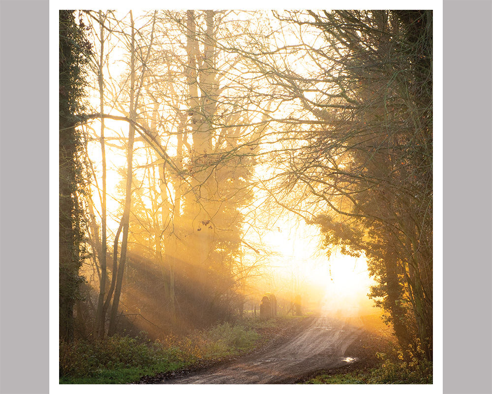Sunset on the Dismals - Photographic Print