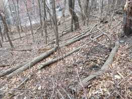 Back of the Hill Update for 2020