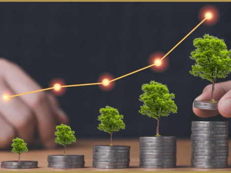 The Rise of Sustainability Marketing: Key Trends and Insights