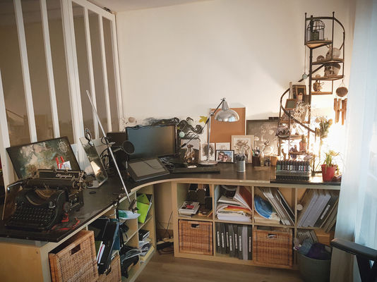 Exploration du milieu naturel d'une "Illustratrix Freelancae"