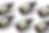 08 copy.png