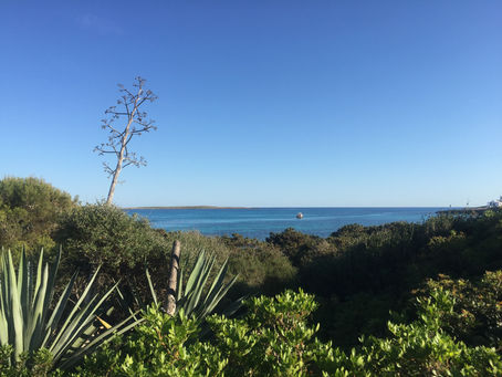 Uniwersalne zasady dla zadłużonych, z dobrymi widokami na przyszłość