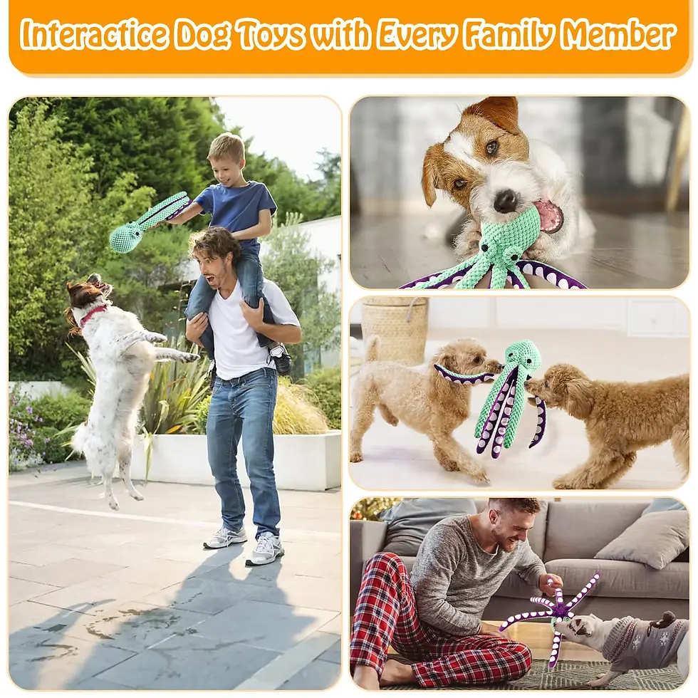Thumbnail: OctoChew Plush Dog Toy