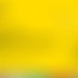 Nova Licenciatura (FMUP)
Saúde Digital e Inovação Biomédica