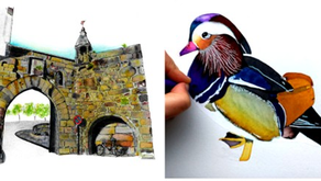 Oficinas de Ilustração Científica | U.Porto