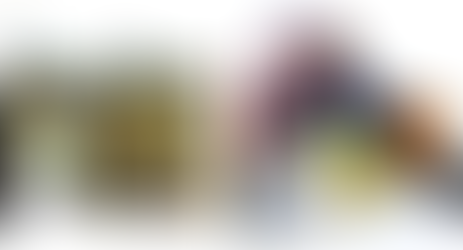 Oficinas de Ilustração Científica | U.Porto