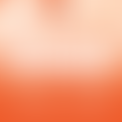 Apresentação on line da DUAL