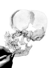 Universidade do Porto: Oficinas de Ilustração, Início a 11 abril