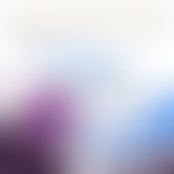 Webinar "Estudar na Escócia", 3 Fevereiro às 17h