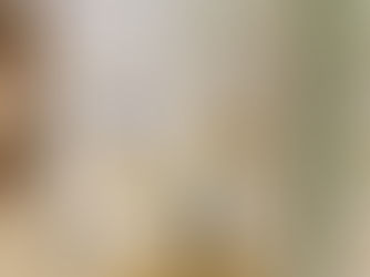 日本酒ひらりんが発売されました！