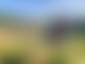 無事に酒米稲刈りが終わりました！