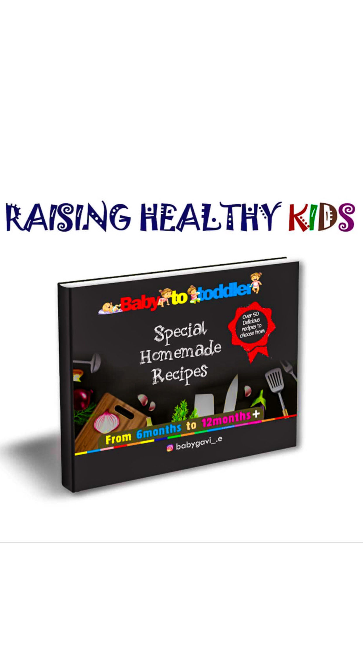 Special Homemade Recipes -CookBook
