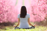 Back view portrait of a woman doing yoga exercise in a pink flowered field.jpg