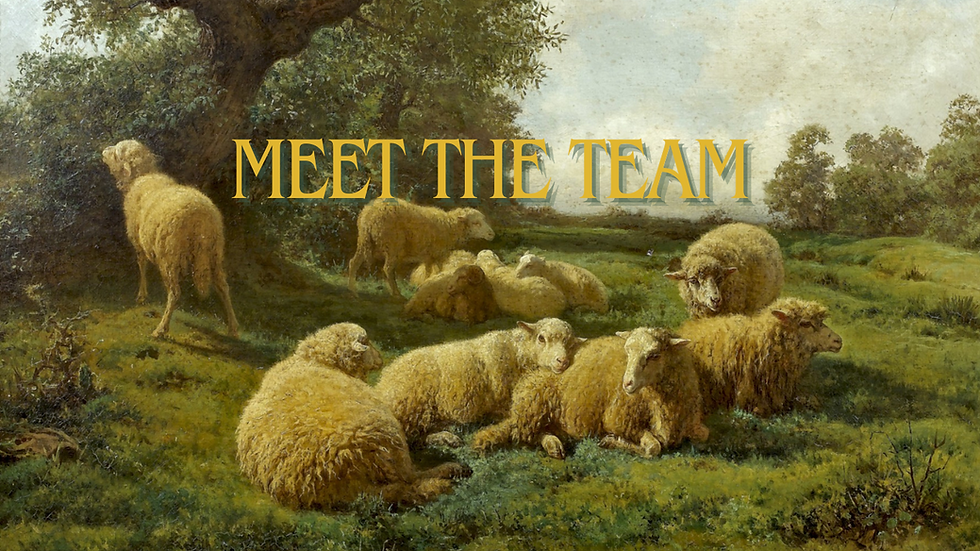 meettheteam.png