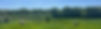 external-file_edited.jpg