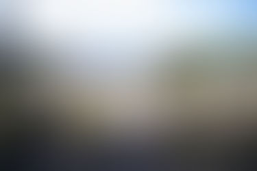 A large crater surrounded by trees and a forest