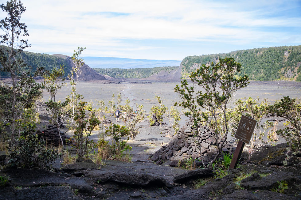 A large crater surrounded by trees and a forest