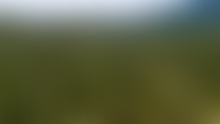 Aerial view of a vast green forest surrounded by distant mountains under a clear blue sky.