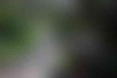 A trail sign for the Crate Rim Trail next to a winding dirt path