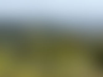 Trail Review: Greek Theatre to Vista Viewpoint via the Riverside Trail, Griffith Park