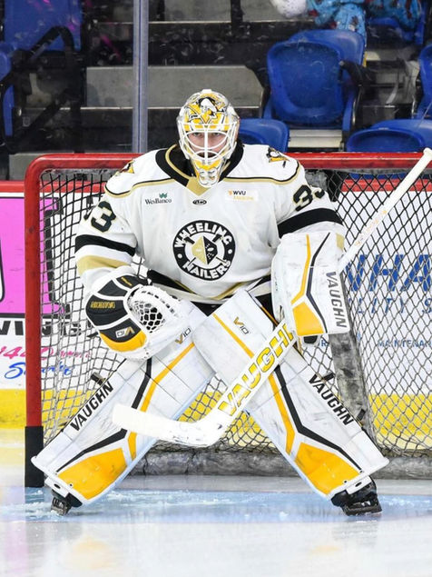 Wheeling Nailers goalie Taylor Gauthier in a goalie stance at the top of the crease on fresh ice.