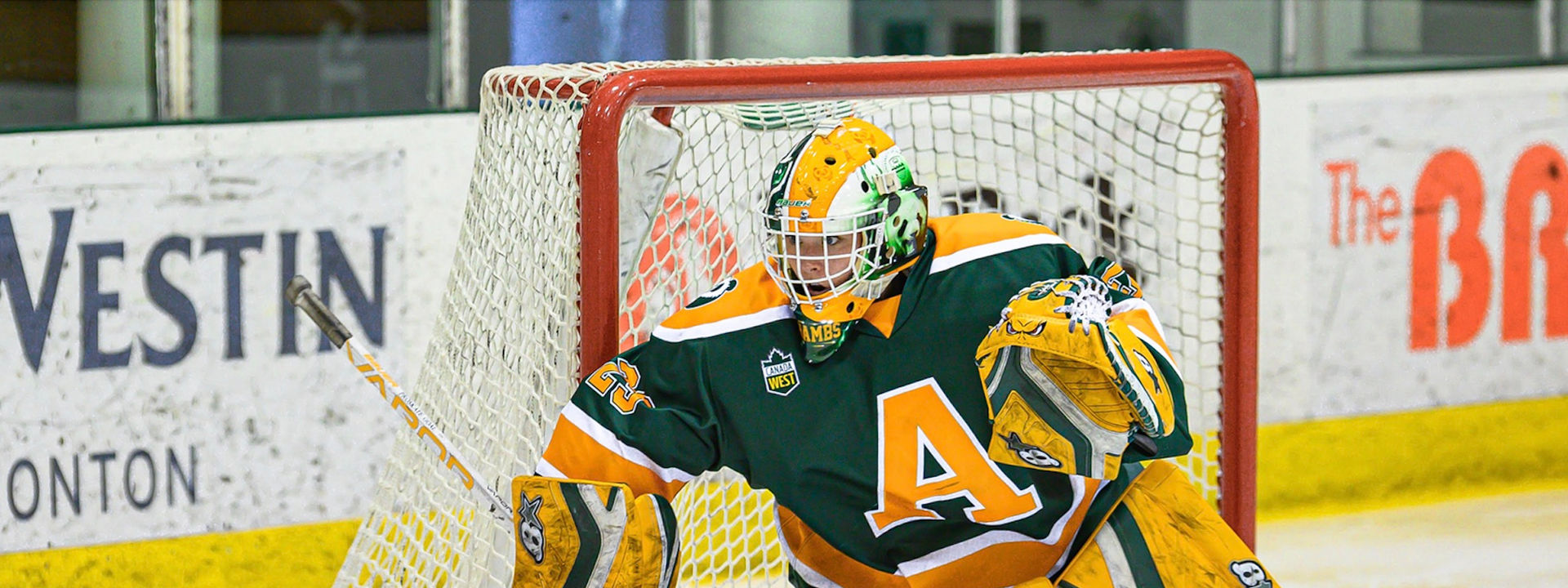 kirsten-chamberlin-university-of-edmonton-pandas-usport-goalie