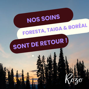 découvre nos soins de saison Foresta, Boréal et Taiga