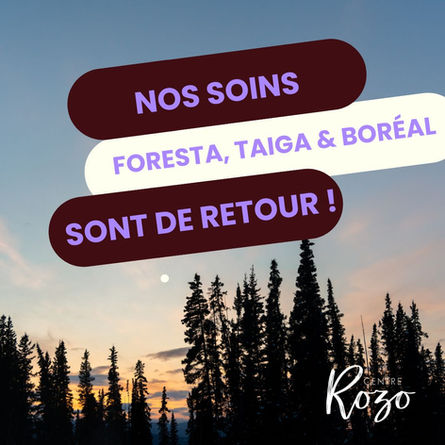 découvre nos soins de saison Foresta, Boréal et Taiga