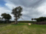 IMG_7713.jpeg